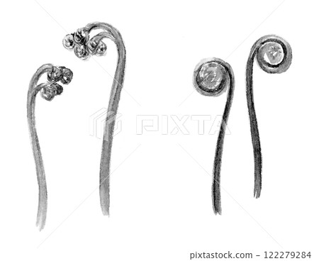 Ink painting of bracken and fern 122279284