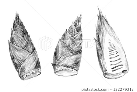 竹筍水墨畫風格插畫 竹筍水墨畫風格插畫 122279312
