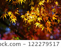 改變葉子的Momiji 122279517