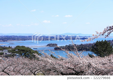 A view of the cherry blossoms in full bloom from Saigyo-Modoshi-no-matsu Park A view of the cherry blossoms in full bloom from Saigyo-Modoshi-no-matsu Park 122279666