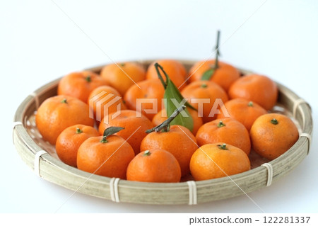 大腸和可愛小柑橘(3-4cm,3:2) 大腸和可愛小柑橘(3-4cm,3:2) 122281337