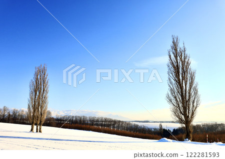 Winter scenery of Akabane Hill in Biei, Hokkaido Winter scenery of Akabane Hill in Biei, Hokkaido 122281593