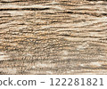 Dry wood texture background the skin of large trees is dry and gray. 122281821