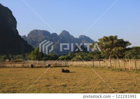 Mountains and field with water buffaloes in Vang Vieng, Laos. 122281991