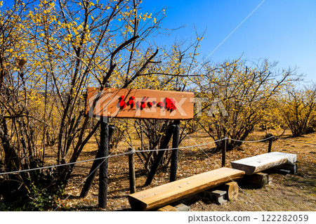 Robai no Sato, bench 2 122282059