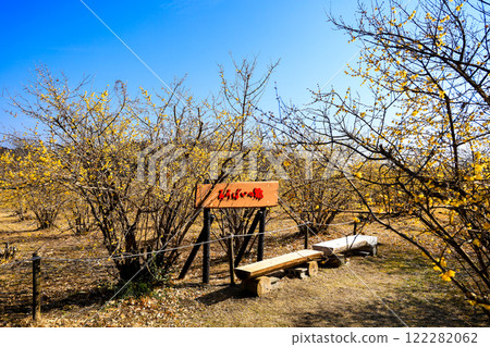 聾人村，長凳1 122282062