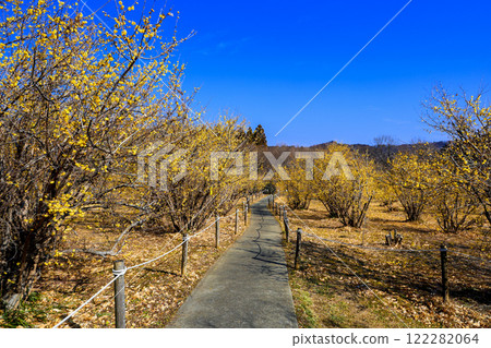 聾人村、海濱長廊 122282064