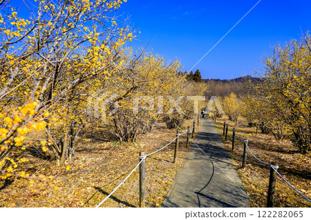 划船故鄉 122282065