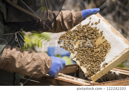 養蜂形象：採蜜的老人 122282203
