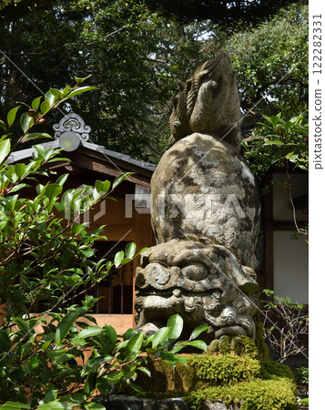 Akayama Shinin Temple Shiba Inu Akayama Shinin Temple Shiba Inu 122282331