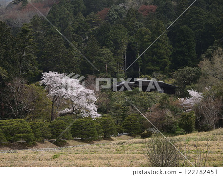 修學院離宮 田園風光與櫻花 122282451