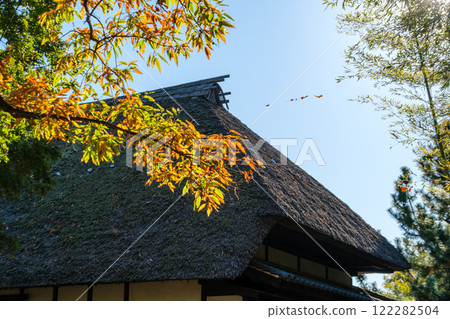 茅草屋頂和竹林 茅草屋頂和竹林 122282504