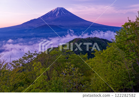 從全景平台可以看到清晨的精進湖和富士山的新綠 從全景平台可以看到清晨的精進湖和富士山的新綠 122282582