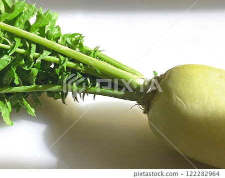 Daikon radish and leaves (freshly picked vegetables) 122282964