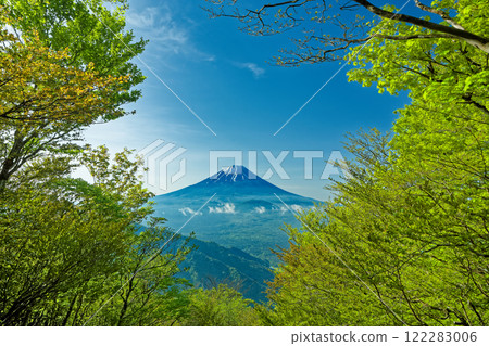 從新綠色的三方文山眺望富士山 122283006