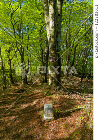 山頂綠意盎然的景色。 山頂綠意盎然的景色。 122283011