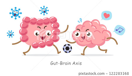 Gut-brain axis . Cartoon character of human brain and intestine . Concept about prebiotics and probiotics relate with brain function . Vector . 122283168