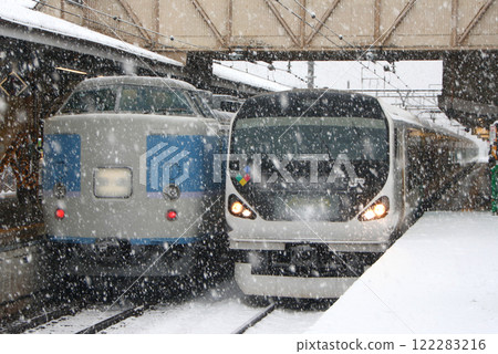 Holiday Rapid Kawaguchiko and Limited Express Kaiji trains stopped at Otsuki Station on the Chuo Main Line during a snowstorm 122283216