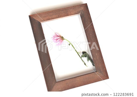 木製框架和白色背景上的粉紅色花朵 木製框架和白色背景上的粉紅色花朵 122283691