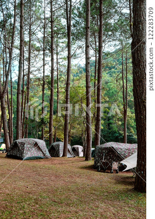 Camping on the lake in the pine forest 122283709