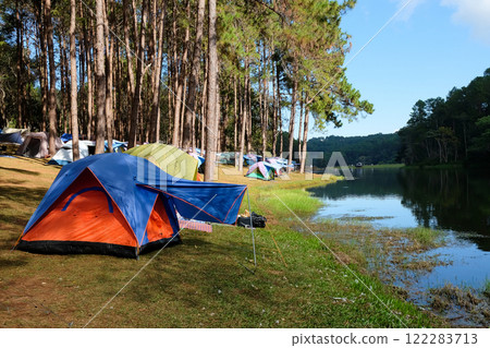 Camping on the lake in the pine forest 122283713