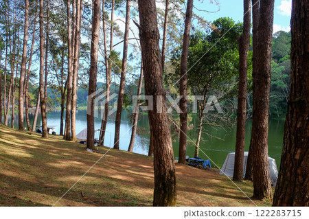 Camping on the lake in the pine forest Camping on the lake in the pine forest 122283715