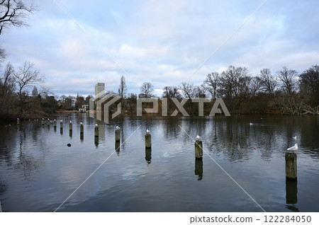 Birds lined up on posts in Hyde Park's lake 122284050