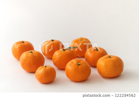 大腸和可愛小柑橘（3-4cm，3:2） 122284562