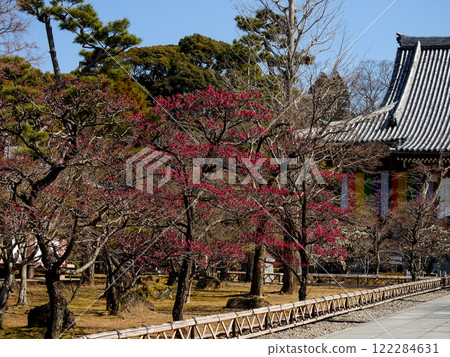 Chienagishi Redmei 122284631