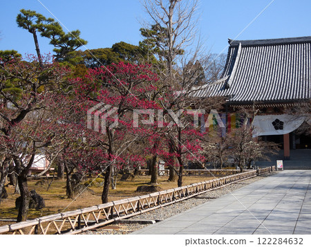 Chienagishi Redmei 122284632