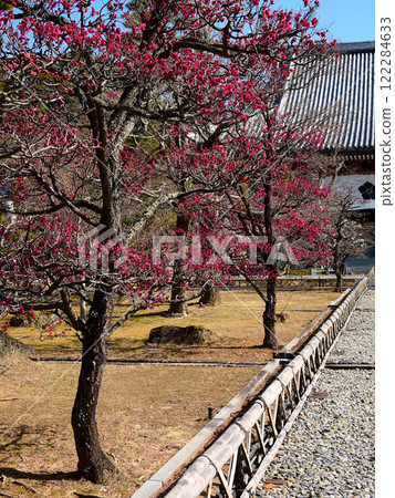 Chienagishi Redmei 122284633