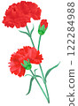 紅色康乃馨花 122284988