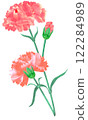 粉色康乃馨花 122284989