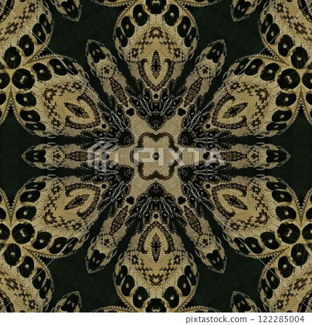 Pakistani ethnic lace texture. Geometric stripe ornament cover photo. Traditional mystic background design. Turkish fashion for floor tiles and carpet. Repeated pattern design for Indian textile print Pakistani ethnic lace texture. Geometric stripe ornament cover photo. Traditional mystic background design. Turkish fashion for floor tiles and carpet. Repeated pattern design for Indian textile print 122285004