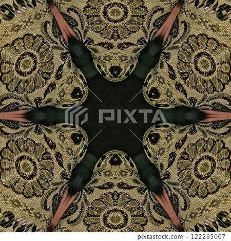 Pakistani ethnic lace texture. Geometric stripe ornament cover photo. Traditional mystic background design. Turkish fashion for floor tiles and carpet. Repeated pattern design for Indian textile print Pakistani ethnic lace texture. Geometric stripe ornament cover photo. Traditional mystic background design. Turkish fashion for floor tiles and carpet. Repeated pattern design for Indian textile print 122285007