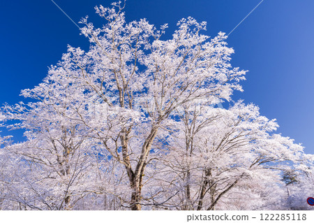 【山梨縣】山中湖畔的山中湖村，樹木被霜覆蓋，雪景繚繞 122285118