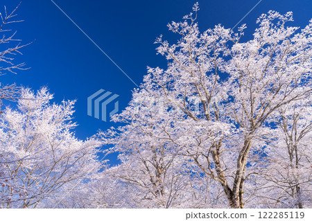 <Yamanashi Prefecture> Ice-covered trees on the shores of Lake Yamanaka and snowy scenery in Yamanakako Village <Yamanashi Prefecture> Ice-covered trees on the shores of Lake Yamanaka and snowy scenery in Yamanakako Village 122285119
