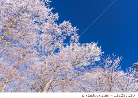 【山梨縣】山中湖畔的山中湖村,樹木被霜覆蓋,雪景繚繞 【山梨縣】山中湖畔的山中湖村,樹木被霜覆蓋,雪景繚繞 122285120