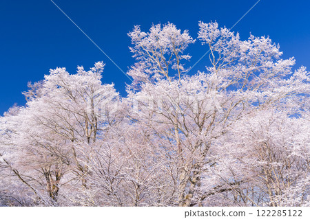 【山梨縣】山中湖畔的山中湖村,樹木被霜覆蓋,雪景繚繞 【山梨縣】山中湖畔的山中湖村,樹木被霜覆蓋,雪景繚繞 122285122
