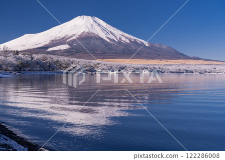 <Yamanashi Prefecture> Mt. Fuji in winter and snowy scenery on the shores of Lake Yamanaka 122286008