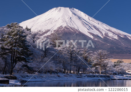 <Yamanashi Prefecture> Mt. Fuji in winter and snowy scenery on the shores of Lake Yamanaka 122286015