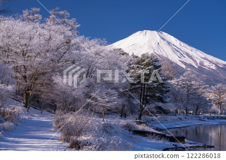<Yamanashi Prefecture> Mt. Fuji in winter and snowy scenery on the shores of Lake Yamanaka 122286018
