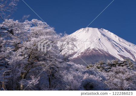 《山梨縣》冬天的富士山、山中湖的雪景 122286023