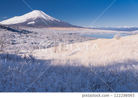 [山梨縣]富士山和明神山芒草群的冬季景觀 122286065