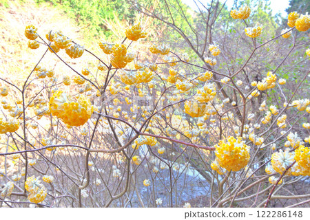 關東地區，美濃毛水俁，三腳像，神奈川縣秦野市美濃毛 (6) 122286148