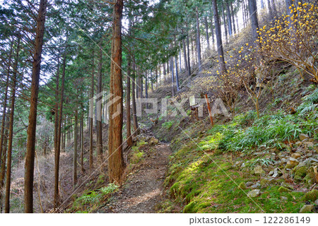 神奈川縣秦野市箕毛市的丹澤山路,可眺望關東地區的水俁、三俁叢生 (3) 神奈川縣秦野市箕毛市的丹澤山路,可眺望關東地區的水俁、三俁叢生 (3) 122286149