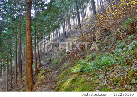 關東地方 - 丹澤山路的形象，在美濃毛看到水俁和三俁叢生 - 神奈川縣秦野市美濃毛 (4) 122286150