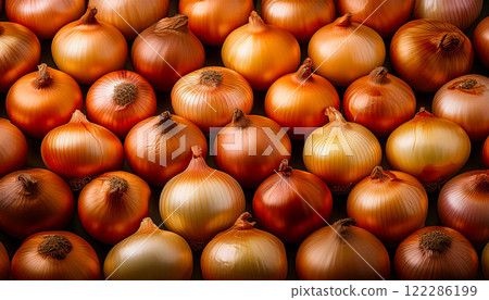 A lot of onions lined up 122286199