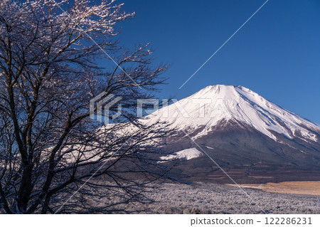 【山梨縣】冬季的富士山和白雪皚皚的山中湖全景平台 122286231