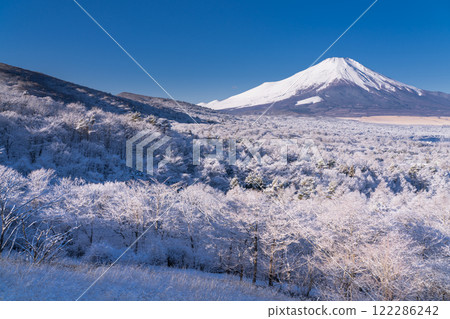 <<Yamanashi Prefecture>> View of Mt. Fuji in winter and snow-covered Lake Yamanaka Panorama Platform <<Yamanashi Prefecture>> View of Mt. Fuji in winter and snow-covered Lake Yamanaka Panorama Platform 122286242